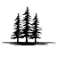 livesouthwoodnashville.com