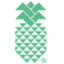 lodgeatstehekin.com