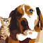 louieslegacy.org