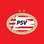 psvfanstore.nl