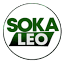 sokaleo.co.tz