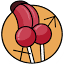 spankify.de