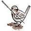sparrowacupuncture.net