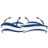 stadiony.net