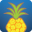 thepineappleschool.com