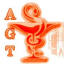 agtournaisis.com