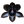 blackorchid.net