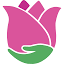 easytogrowbulbs.com
