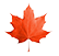 essiac-canada-intl.com