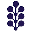 functionalneurologyandwellness.com