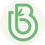 bamboebaas.nl