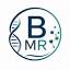 bmrservice.com