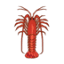 crustybase.org
