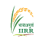 icar-iirr.org