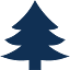 mainelse.org