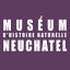 museum-neuchatel.ch