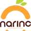 narinc.az