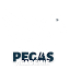 pegasacademie.com
