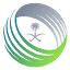 sfd.gov.sa