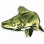 walleyedan.com
