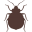 bedbugfindersllc.com