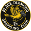 bevierjiujitsu.com