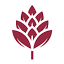 biowin.pl