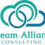 dreamallianceconsulting.com