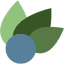 justinbasil.com