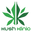 kushklinic.app