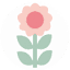 mizflurry.nl