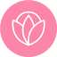 pensacolamom.com