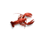 smokinglobster.co.uk