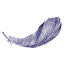 aefu.ch