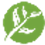 ayurtreatment.com