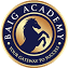 baigacademy.org