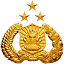 inp.polri.go.id