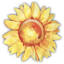 joyepsychology.com