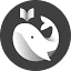 shenyandayi.com