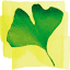 bilobil.net