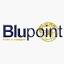 blupoint.biz