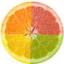 citrusrelocation.com