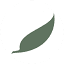 cosmeticsurgeryandwellness.com