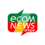ecomnewsafrique.com