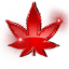 fnv.org.ar
