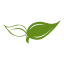 grassworksaustin.com