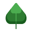 ifr-pan.edu.pl