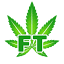 liftcannabis.ca