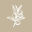 oliveave.com