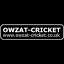 owzat-cricket.co.uk